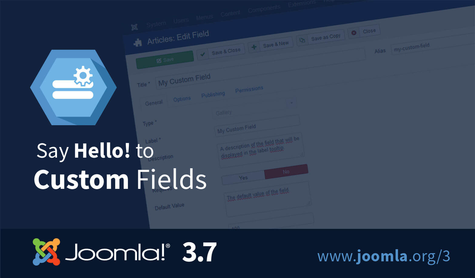 joomla custom fields